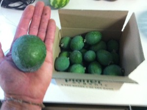 Matts Home Garden photo 2