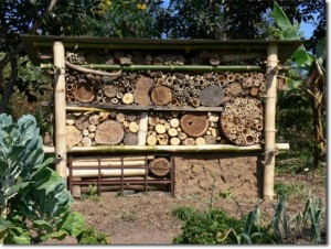 Insect Hotel built by Bor Borran PRI Zaytuna Farm