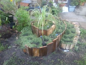 Wendy garden 1