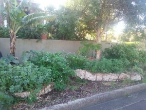 Wendy garden 2