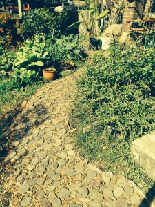 Winding path (Copy)