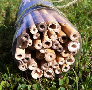 bug-hotel